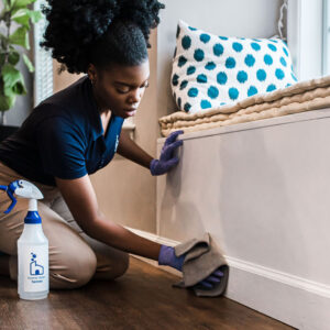 Maid Services